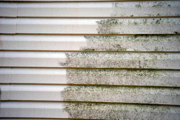 Best Engineered Wood Siding  in Cumberland, WI